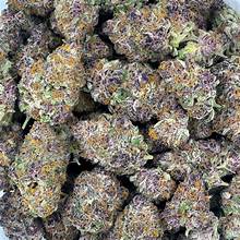 House Pre Roll Lemon Cherry Gelato THCA 32.7% Indica