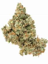 House Pre Roll Jack Herer THCA 33.5%