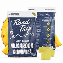 Road Trip Mushroom