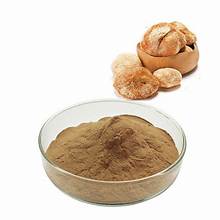 Lions Mane Extract Powder