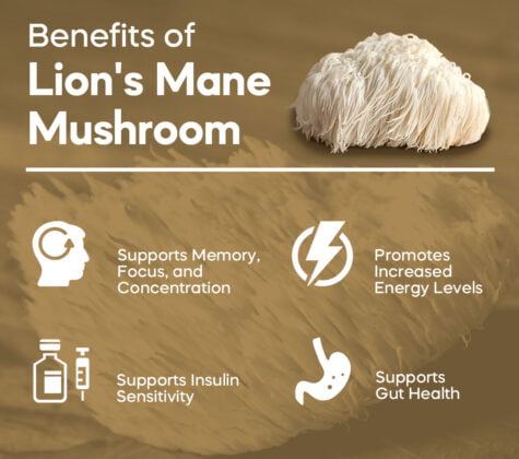 Lions Mane Extract Powder