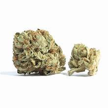 Grape Goo House Flower THCA 33.24% Hybrid