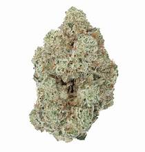 House Gastronaut Flower THCA Hybrid 33.03%