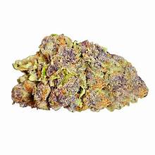 House Flower Trop Cherry THCA  Sativa 23.79%