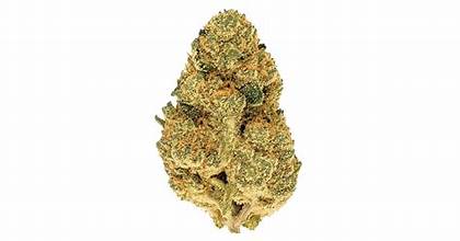 House Pre Roll Blueberry Pancake Indica 28.13%
