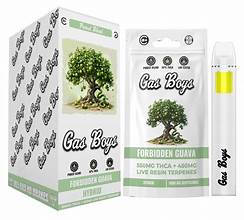 Gas Boys Disposable 1g THCA + Live Resin Terpenes