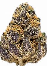 House Flower Blue Slushi Indica 29.16% THCA