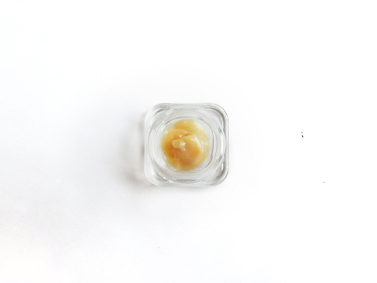 Terp 8 Dabs Day trip