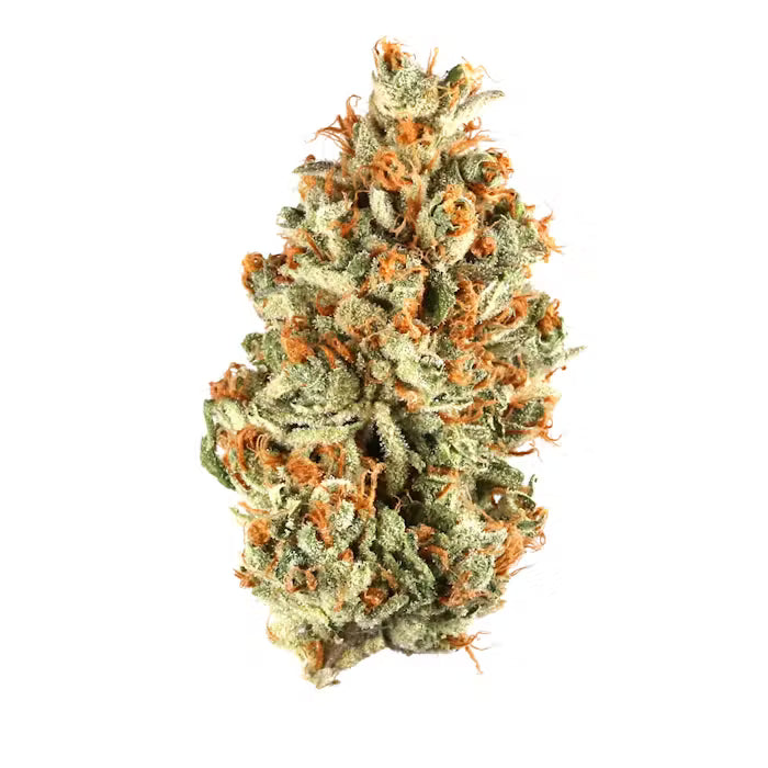 House pre Roll Orange Julius Sativa 34.37% THCA