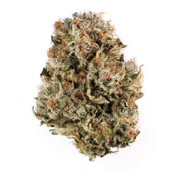 House Bio Diesel flower THCA Hybrid 29.25%