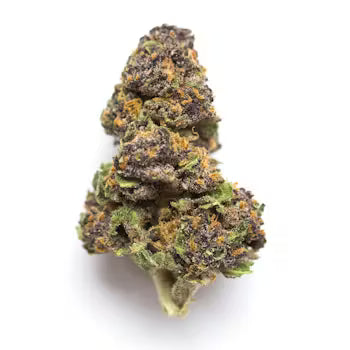 House LemonCello Hybrid THCA 21.76%