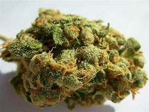 House Jack Herer THCA Flower Sativa 33.5%
