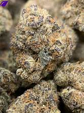House Amaretto Mintz THCA Flower Indica 30.43%