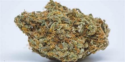 House Cheetah Piss Oreoz THCA Flower 22.14% Hybrid